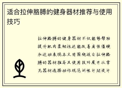 适合拉伸胳膊的健身器材推荐与使用技巧